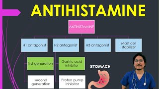 Classification of Antihistamine  Antihistamine drugs  H1 antagonist  H2 antagonist H3 antagonist [upl. by Lerred]