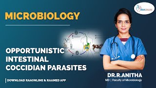 Microbiology  Opportunistic Intestinal Coccidian Parasites  Raaonline microbiology [upl. by Finn]