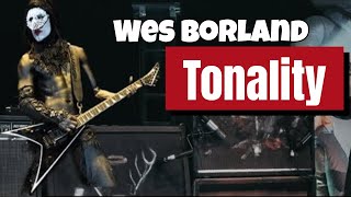 Wes Borlands STL Tonality  MindBlowing Tones no talk [upl. by Yanffit388]