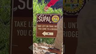 How to Hike to Havasupai Falls [upl. by Nadiya]