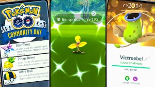 Prep Now Bellsprout Comm Day 3x Stardust amp Victreebel’s Magical Leaf [upl. by Bergmann637]