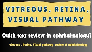 Vitreous Retina visual pathway quick text review  Antomy and structure of Vitreous [upl. by Assirual648]