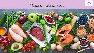 Macronutrientes y micronutrientes [upl. by Eirahs380]