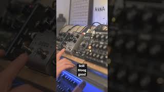 Why Strymon Deco V2 on synth [upl. by Nosneb]