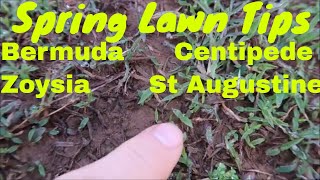 Spring Lawn Care Tips  Bermuda Zoysia Centipede and St Augustine Lawns [upl. by Norvell]