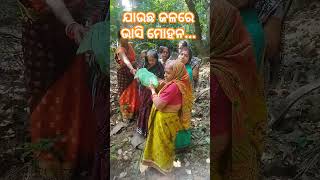 କାର୍ତ୍ତିକ ପୂର୍ଣ୍ଣିମାହବିଷ ଗୀତ କାର୍ତ୍ତିକ ବ୍ରତ ପଞ୍ଚୁକ kabitadashofficial kabitadash yt shorts [upl. by Tteltrab921]