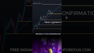 Discover the Power of Support and Resistance in Forex Trading [upl. by Susejedairam105]