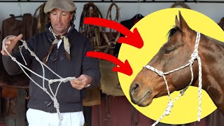 Cómo Hacer Un BozalJáquimaCabezal De Cuerda en 5 Minutos Rope Halter [upl. by Lotte824]