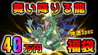 【ポケカ】正月に噂になったカドショの40万円福袋を開封したら龍が舞い降りました。フリーダムばりのかっこいい登場に救われるG2F団がそこに【ポケモンカード】 [upl. by Chaunce]