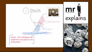 mr i explains Competition between organisms and Gauses Exclusion Principle [upl. by Aihtnyc]