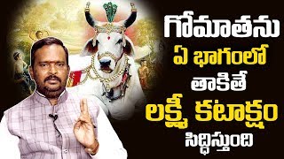 Gomatha Pooja Acharya Anantha Krishna Swamy about Gomatha Pooja Benefits [upl. by Rahmann]