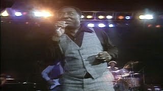 Muddy Waters  Mannish Boy  Live 1978 [upl. by Kit]