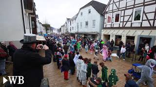 Karneval in Bad Driburg [upl. by Wendall]