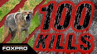 100 FOXPRO Coyotes and Bobcats in Under Four Minutes [upl. by Enaols]