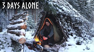 Finding Shelter in Snow 3 Day WINTER Camping Bushcraft Survival Shelter [upl. by Millur921]