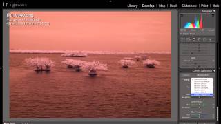 Creating An Adobe Camera RAW Infrared White Balance Profile [upl. by Dremann832]