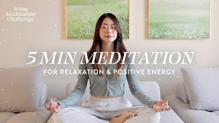 5 Minute Meditation for Relaxation amp Positive Energy  30 Day Meditation Challenge [upl. by Cynar254]