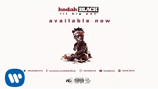 Kodak Black  Slayed feat Boosie Badazz Official Audio [upl. by Amehsat]