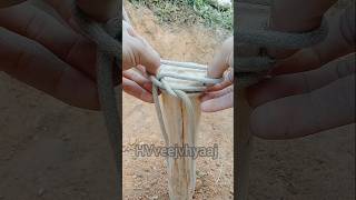 How to tie 3 loops of rope to the towing pole shorts snake rope Knot [upl. by Zeret194]