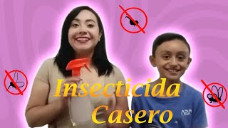 Insecticida Casero 🕷🦟 [upl. by Frodin]