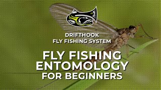 Fly Fishing Entomology for Beginners [upl. by Juna]