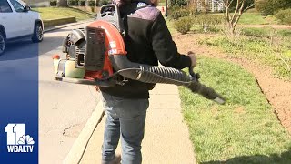 Councilman proposes banning gaspowered leaf blowers [upl. by Brady]