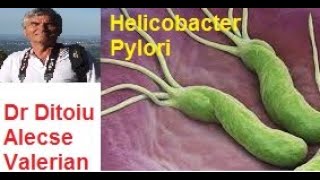 Forum  Helicobacter Pylori [upl. by Sholom108]