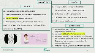 Endocrinología  Hiperprolactinemia Prolactinoma Adenoma Hipofisiario [upl. by Yenohtna]