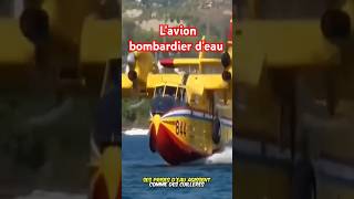 Un avion pas comme les autres ceci est un bombardier deau pour les incendies fire avion fyp [upl. by Rot]