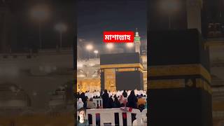 Makka madina wo mera Nabi mera Nabi is my Nabi shorts yshorts naat videoshort [upl. by Eixirt]