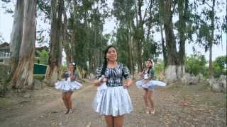 LAS GAVIOTITAS  NO SE PUEDE CONVIVIR VIDEO OFICIAL 2013 [upl. by Asirap394]