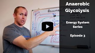 Anaerobic glycolysis [upl. by Aluap]