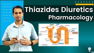 Diuretic Drugs Pharmacology Part 2  Pharmacology of Thiazides Diuretics  Thiazides Diuretics [upl. by Meijer]