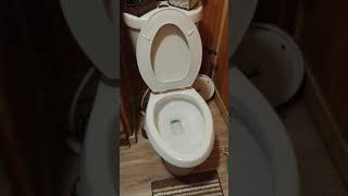 glacier bay dual flush toilet not flushing properly do not replace until you try this [upl. by Avir14]