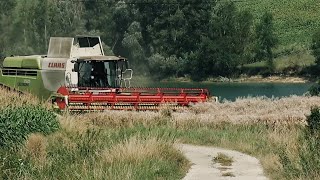 Moisson 2024 Colza Claas  ConVio dans un paysage du Lauragais [upl. by Bathilda]