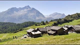 Colletts Walking Holidays in Switzerland [upl. by Pease205]