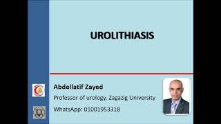 Urolithiasis [upl. by Ecirtram753]