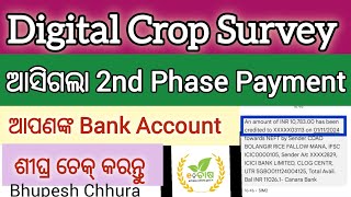 Digital Crop Survey ଆସିଗଲା 2nd Phase Payment । ଆପଣଙ୍କ Bank Account ଶୀଘ୍ର ଚେକ୍ କରନ୍ତୁ। [upl. by Hoo597]