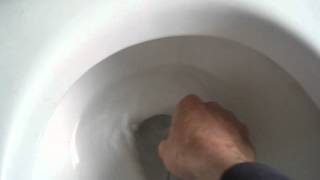 Improving flush of a slowflush toilet [upl. by Muriah]