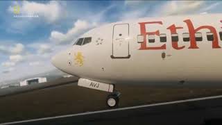 Ethiopian flight 302crash ￼Animation [upl. by Plumbo218]