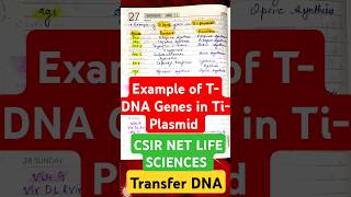 EXAMPLE OF T DNA GENES IN Ti PLASMIDT DNA GENES THEIR PRODUCTS AND FUNCTIONCSIR NET LIFE SCIENCE [upl. by Gradeigh794]