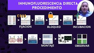 Inmunofluorescencia [upl. by Ibmab]