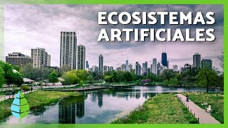 Los ECOSISTEMAS ARTIFICIALES 🌇 Características TIPOS de Ecosistemas Artificiales y Ejemplos [upl. by Eentihw]