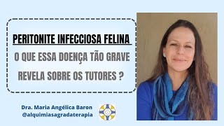 PIF  PERITONITE INFECCIOSA FELINA  o que ela revela sobre os tutores [upl. by Macegan372]