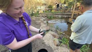 Turtlantis Unveiled A Turtlely Paradise at the Childrens Museum of Houston  The Big Reveal [upl. by Daphie]