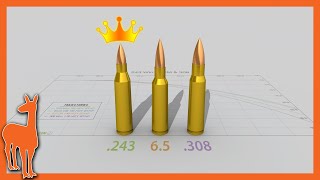 Why 243 Winchester is still my favorite cartridge  243 Win vs 6mm Creedmoor 65 Creedmoor 308 Win [upl. by Debbie]