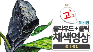 돌 나뭇잎으로 기초질감 연습하기 🌿🌿 [upl. by Atinreb]