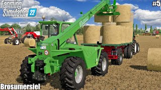 BROSUMERSIEL HARVESTING WHEAT amp COLLECTING STRAW BALES SELLING MILK│BROSUMERSIEL 22│FS22│5 [upl. by Noneek353]