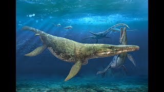 How Sea Dragons Swam  Plesiosaur Locomotion by Max Hawthorne [upl. by Ashil]