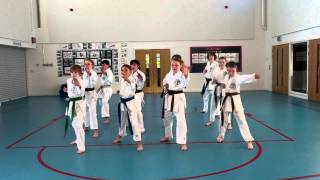 Zanshin Karate Cymru Demonstration Team 2013 [upl. by Anytsirhc356]